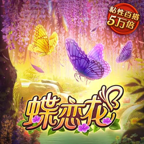 金年华体育平台官网
